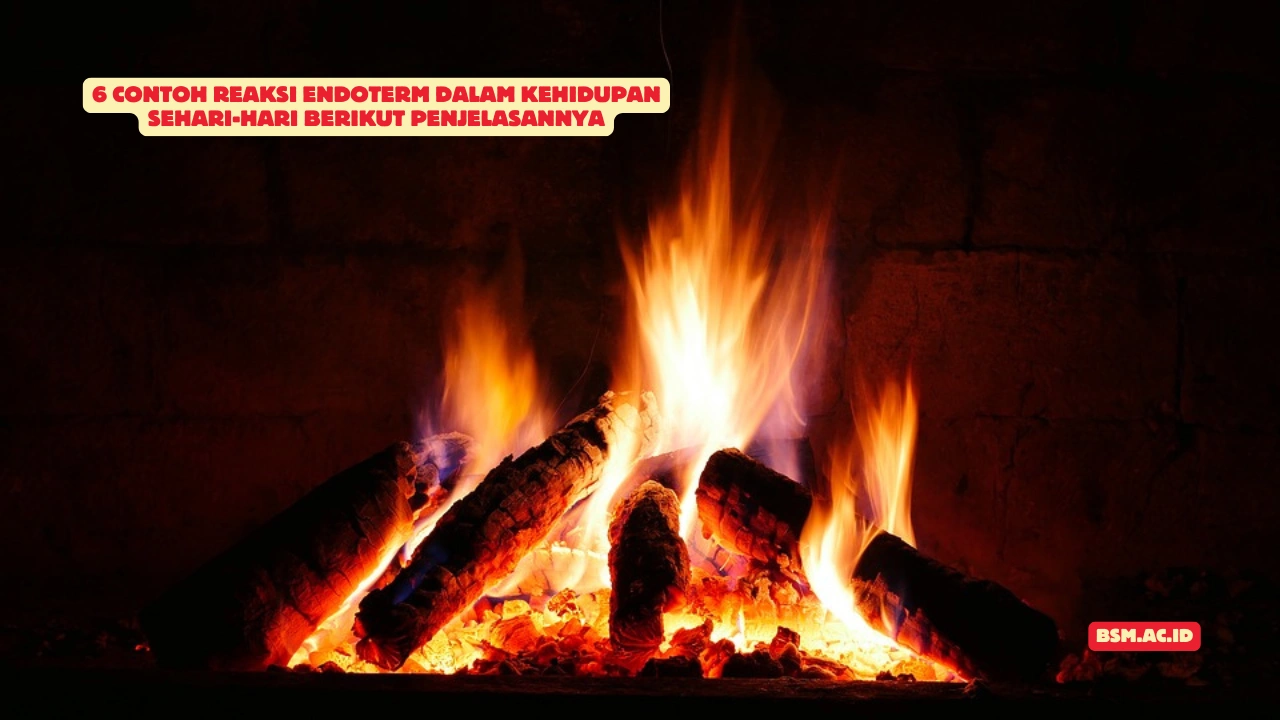 Contoh-Reaksi-Endoterm-dalam-Kehidupan-Sehari-hari
